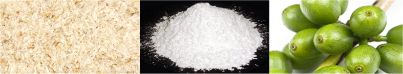 ReNew contains psyllium husk, magnesium oxide, and extract from green coffee beans.