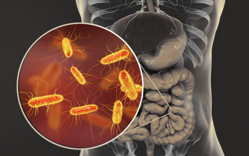 How to improve my gut health? Use DuoTrim!