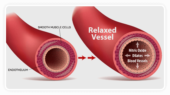 Cardio Shield helps boost nitric oxide levels in your blood, keeping blood vessels open and flowing freely.