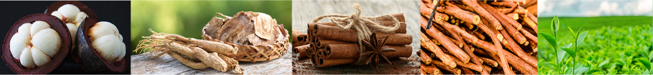 How to get a flat stomach without exercise? Lanta Flat Belly Shake is the answer!